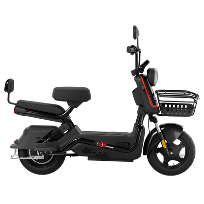 Motobici Electrica ELKG1