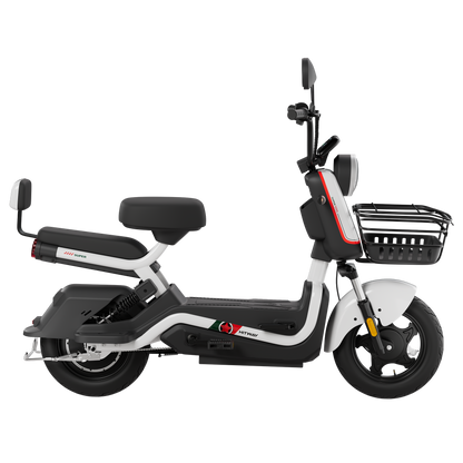 Motobici Electrica ELKG1