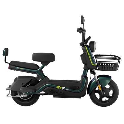 Motobici Electrica ELKG1