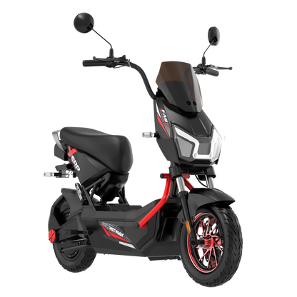 Motobici Electrica CHTG1