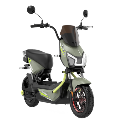 Motobici Electrica CHTG1