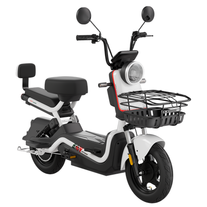 Motobici Electrica ELKG1