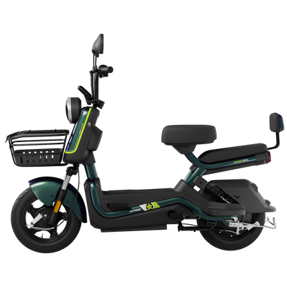 Motobici Electrica ELKG1
