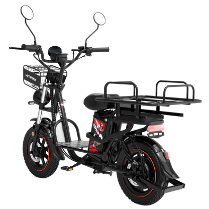 Motobici Electrica HNTG1