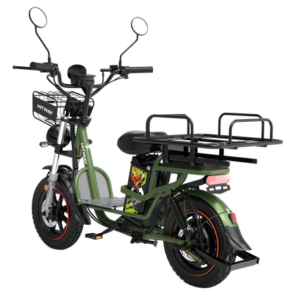 Motobici Electrica HNTG1
