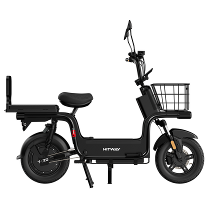 Motobici Electrica MAMG1