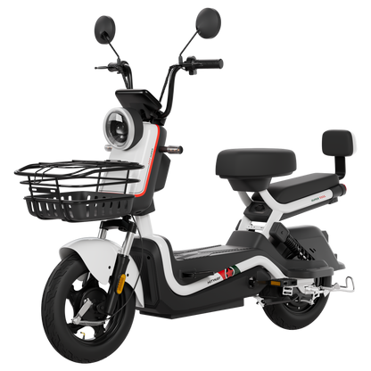 Motobici Electrica ELKG1